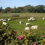 Hof Am Hoern Momme Jensen Appartamento Pellworm