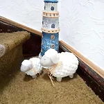 Hof Am Hoern Momme Jensen * Pellworm