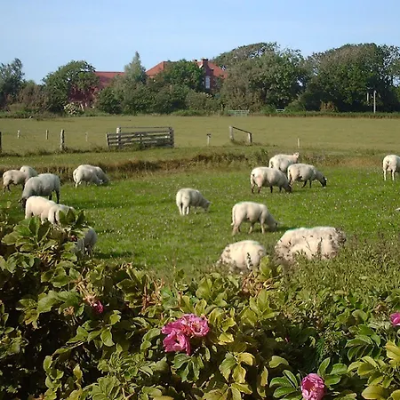 Hof Am Hoern Momme Jensen 아파트 펠웜