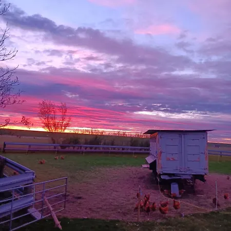 Hof Am Hoern Momme Jensen * 펠웜