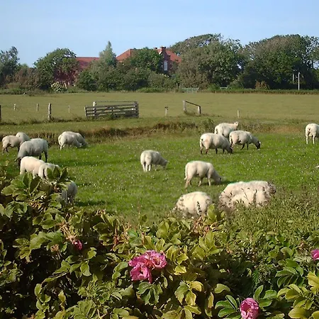 Hof Am Hoern Momme Jensen